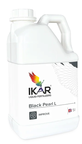 IKAR Black Pearl
